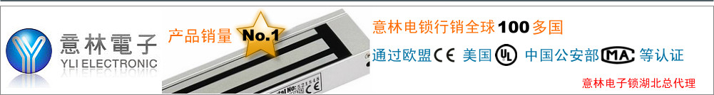 武漢磁力鎖
